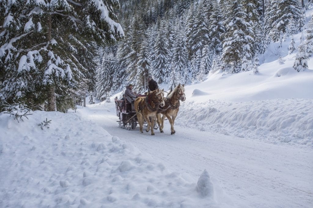 Walchofer's Alpenhof 'Winter Kutschenfahrt'©️fotodesigndavid