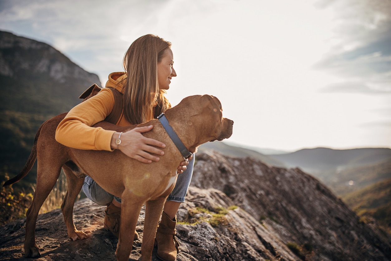 Frau steht mit ihrem Hund beim Wanderurlaub in Österreich auf einem Berg. Beide blicken in die Ferne.